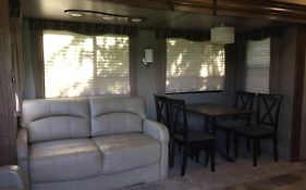 Sequoia Forest Retreat